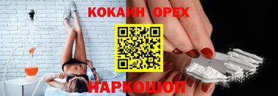 гидропоника Владимир
