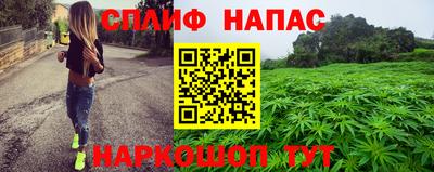 гидропоника Владимир