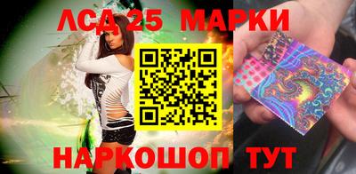 гидропоника Владимир