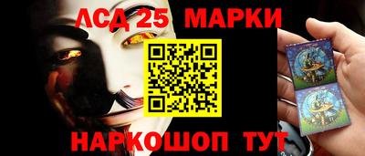 гидропоника Владимир