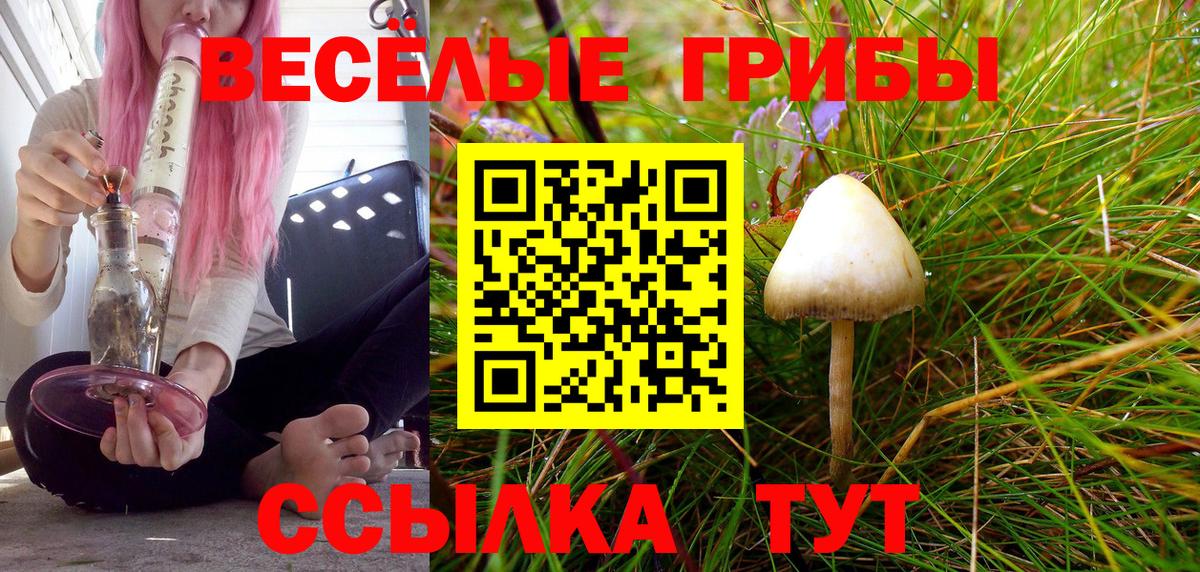 Псилоцибиновые грибы мицелий  Галлюциногенные грибы прущие грибы  Вход с VPN  Тара 